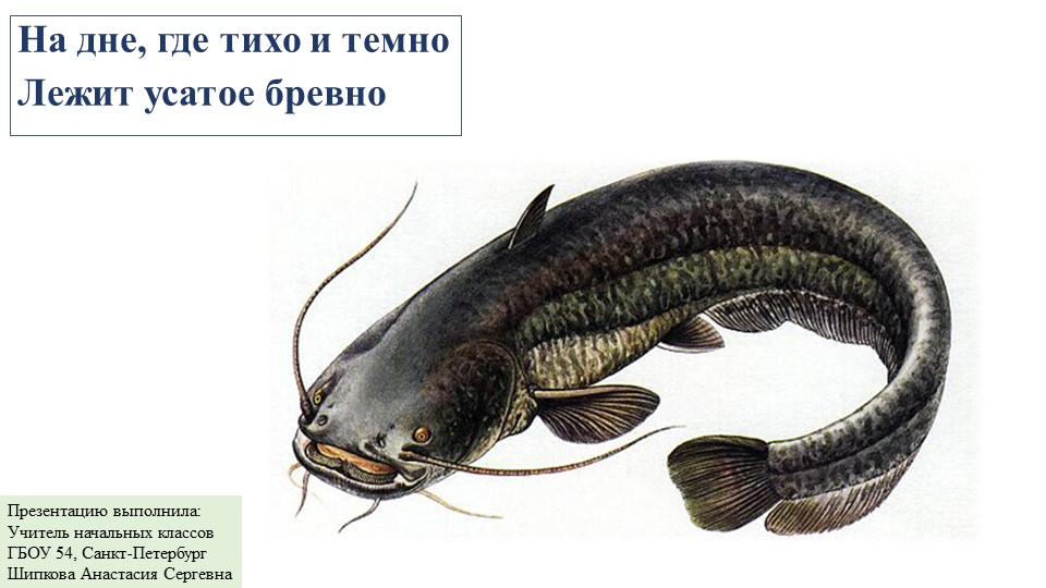 Презентация по окружающему миру на тему "Кто такие птицы?" (1класс) Учебники, Презентации и Подготовка к Экзаменам для Школьников на Klass-Uchebnik.com