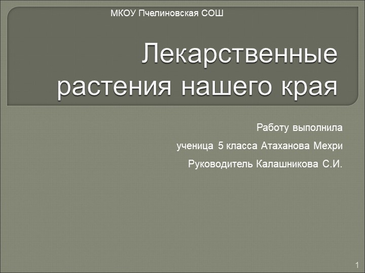 Презентация к проекту "Лекарственные растения нашего края" Учебники, Презентации и Подготовка к Экзаменам для Школьников на Klass-Uchebnik.com