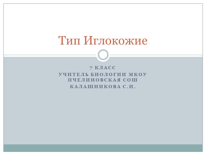 Презентация по биологии "Тип Иглокожие" (7 класс) Учебники, Презентации и Подготовка к Экзаменам для Школьников на Klass-Uchebnik.com
