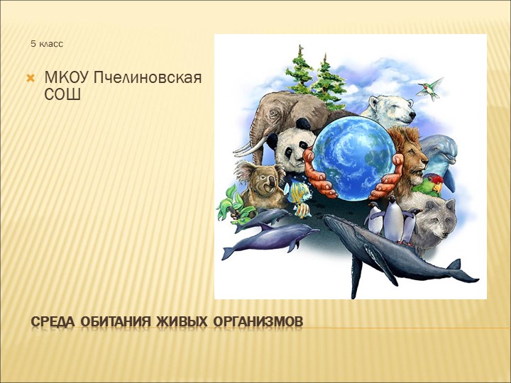 Презентация по биологии "Среды жизни" (5 класс) Учебники, Презентации и Подготовка к Экзаменам для Школьников на Klass-Uchebnik.com