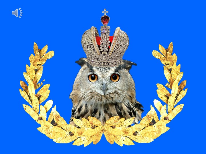 Презентация внеурочной деятельности "Что? Где? Когда?" 5-7 классы Учебники, Презентации и Подготовка к Экзаменам для Школьников на Klass-Uchebnik.com