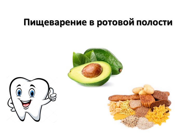 Презентация к уроку "Пищеварение в ротовой полости" Учебники, Презентации и Подготовка к Экзаменам для Школьников на Klass-Uchebnik.com