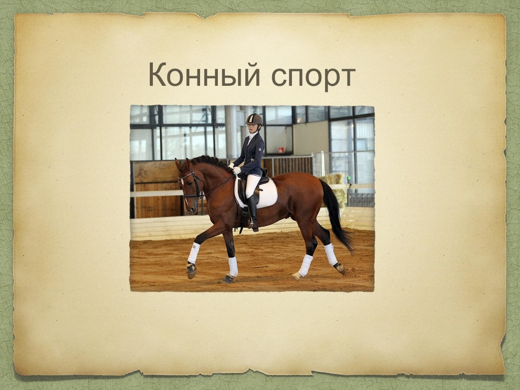 Презентация Внеурочная деятельность"Конный спорт" Учебники, Презентации и Подготовка к Экзаменам для Школьников на Klass-Uchebnik.com