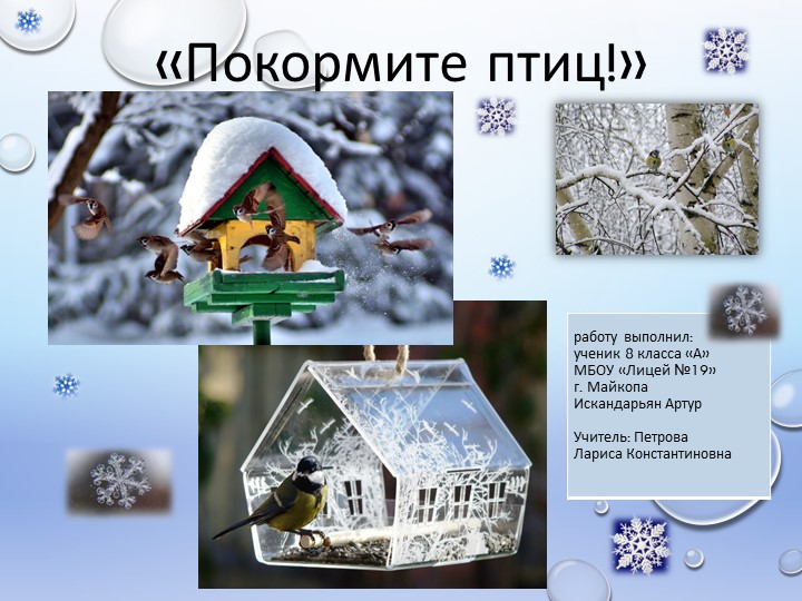 " Покормите птиц ". Учебники, Презентации и Подготовка к Экзаменам для Школьников на Klass-Uchebnik.com