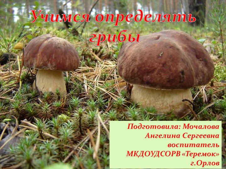 Презентация и дидактическая игра "Лесные грибы" Учебники, Презентации и Подготовка к Экзаменам для Школьников на Klass-Uchebnik.com