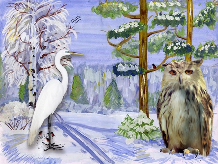 Дифференциация звуков [С]- [Ц] в слогах, словах. 2 класс Учебники, Презентации и Подготовка к Экзаменам для Школьников на Klass-Uchebnik.com