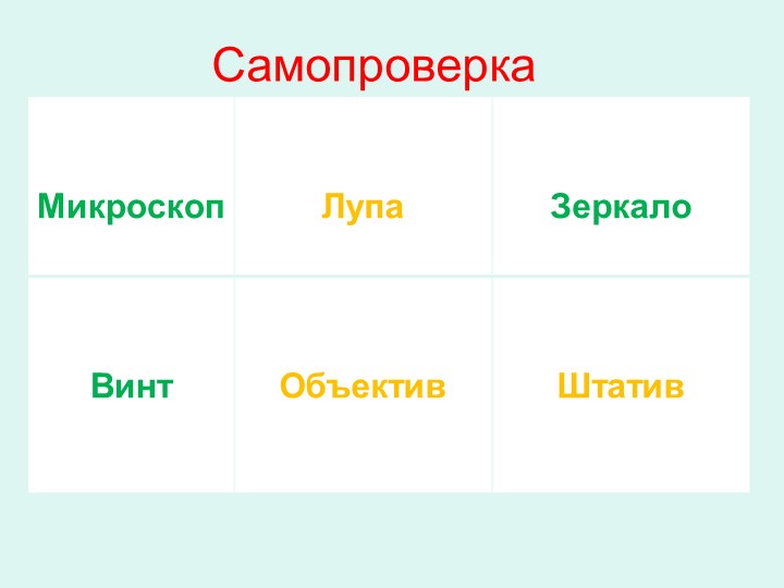 Презентация, " Строение клетки" Учебники, Презентации и Подготовка к Экзаменам для Школьников на Klass-Uchebnik.com