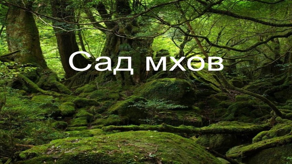 Презентация по окружающему миру " Мхи" Учебники, Презентации и Подготовка к Экзаменам для Школьников на Klass-Uchebnik.com