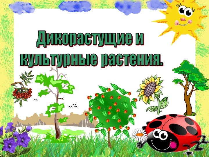 Презентация на тему "Дикорастущие и культурные растения" Учебники, Презентации и Подготовка к Экзаменам для Школьников на Klass-Uchebnik.com