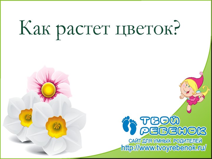 Презентация "Как растет цветок" Учебники, Презентации и Подготовка к Экзаменам для Школьников на Klass-Uchebnik.com