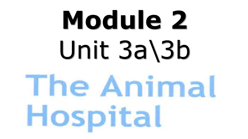 Презентация по английскому языку "Animal hospital" 4 класс - Учебники, Презентации и Подготовка к Экзаменам для Школьников на Klass-Uchebnik.com