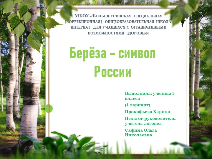 Исследовательский проект "Берёза - символ России" Учебники, Презентации и Подготовка к Экзаменам для Школьников на Klass-Uchebnik.com