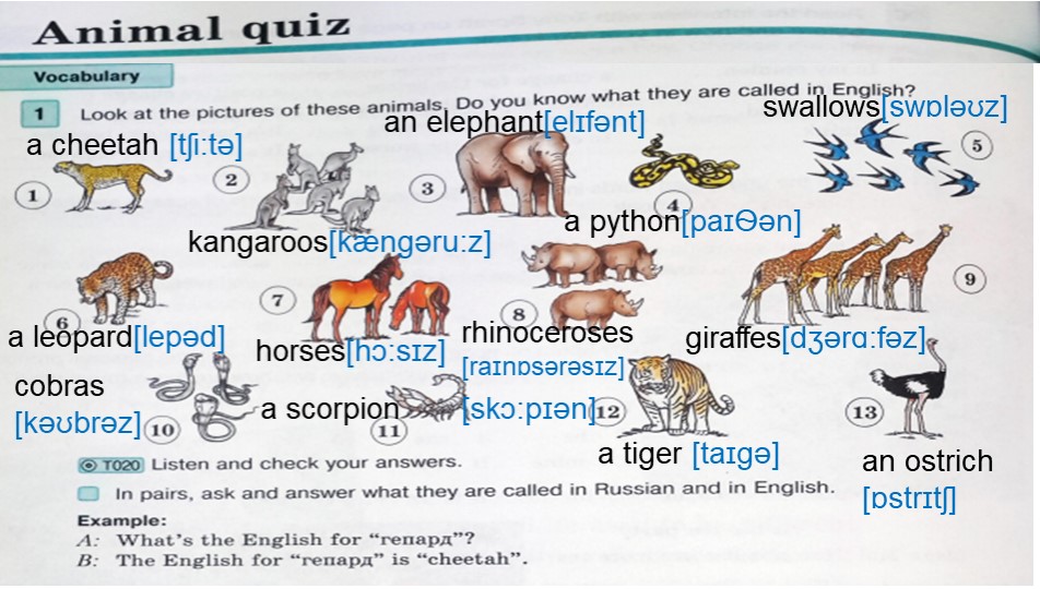Презентация по английскому языку 7 класс "Animal quiz" Учебники, Презентации и Подготовка к Экзаменам для Школьников на Klass-Uchebnik.com