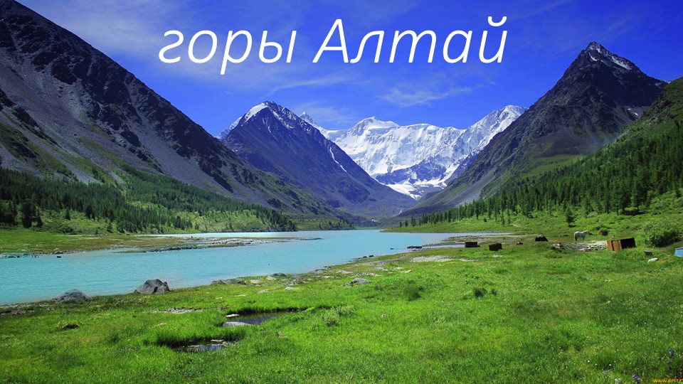 Проект по окружающему миру Учебники, Презентации и Подготовка к Экзаменам для Школьников на Klass-Uchebnik.com