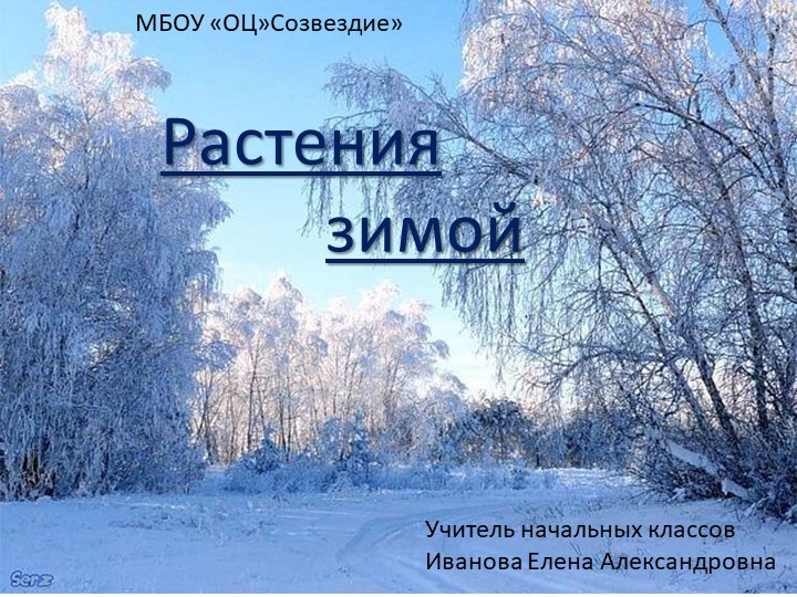 Презентация по миру природы и человека на тему "Растения зимой" 4 класс Учебники, Презентации и Подготовка к Экзаменам для Школьников на Klass-Uchebnik.com