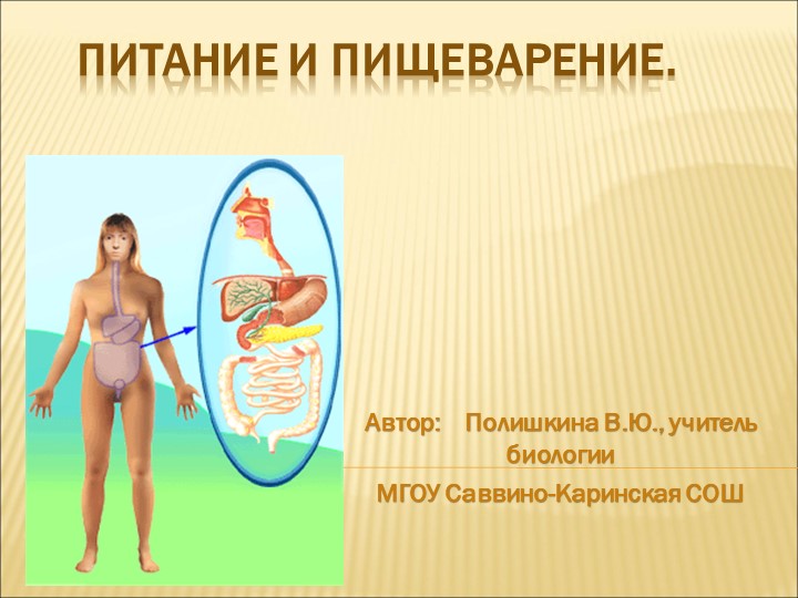 Открытый урок 8кл"Строение пищеварительной системы" Учебники, Презентации и Подготовка к Экзаменам для Школьников на Klass-Uchebnik.com