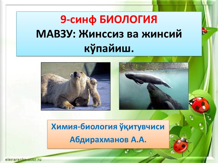 Презентация "ЖИНСИЙ ВА ЖИНССИЗ купайиш" 9-синф Биология Учебники, Презентации и Подготовка к Экзаменам для Школьников на Klass-Uchebnik.com