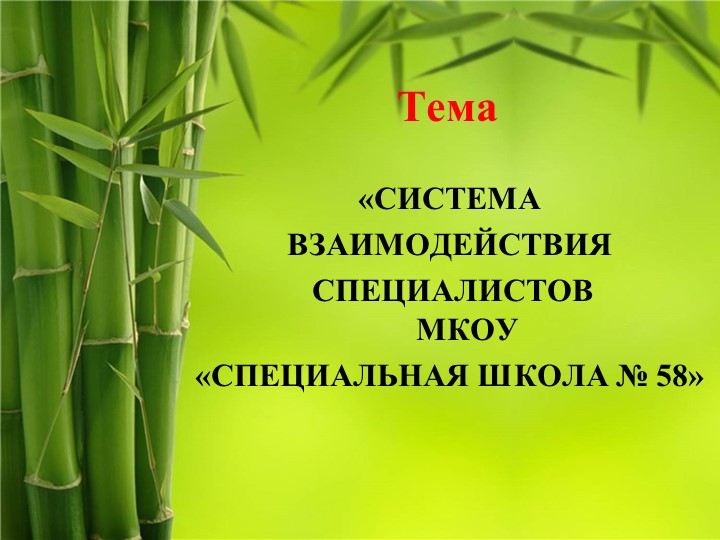 Система взаимодействия специалистов в психолого-педагогическом и медико-социальном сопровождении обучающихся с интеллектуальными нарушениями Учебники, Презентации и Подготовка к Экзаменам для Школьников на Klass-Uchebnik.com