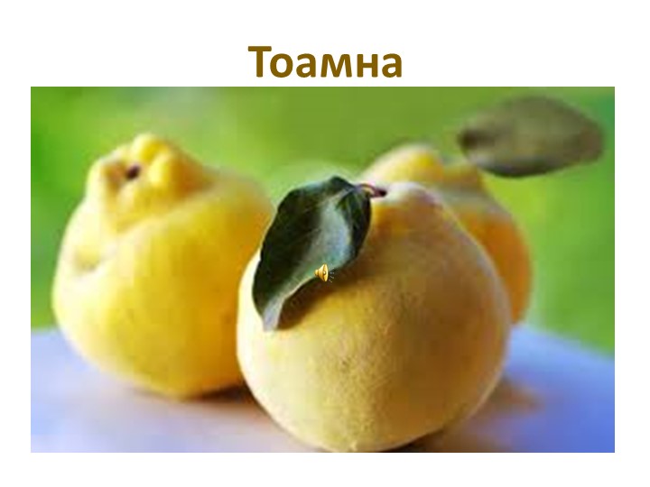 Презентация к открытому уроку "Осень" Учебники, Презентации и Подготовка к Экзаменам для Школьников на Klass-Uchebnik.com