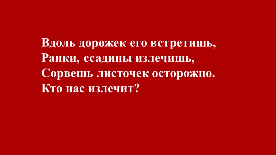 Презентация - Лекарственные и ядовитые растения. (подготовительная группа) Учебники, Презентации и Подготовка к Экзаменам для Школьников на Klass-Uchebnik.com
