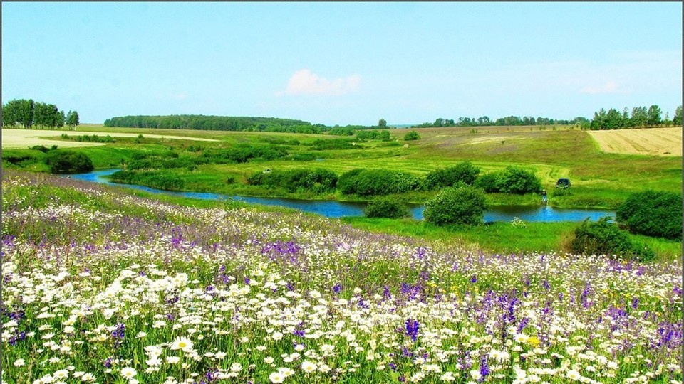 Презентация "Лекарственные растения " Учебники, Презентации и Подготовка к Экзаменам для Школьников на Klass-Uchebnik.com
