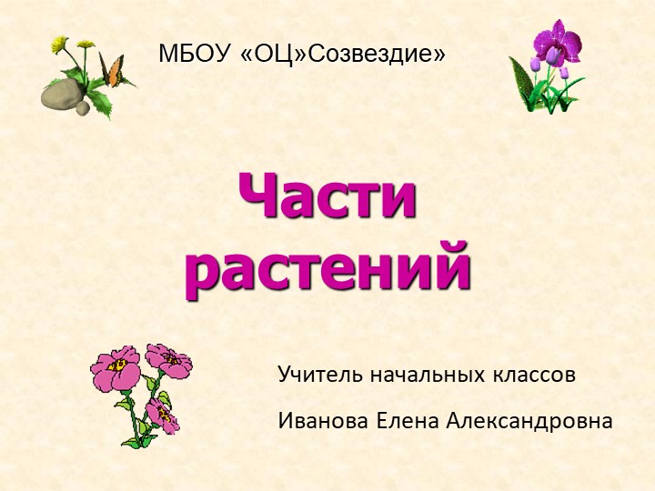Презентация по окружающему миру на тему "Части растений" 2 класс Учебники, Презентации и Подготовка к Экзаменам для Школьников на Klass-Uchebnik.com