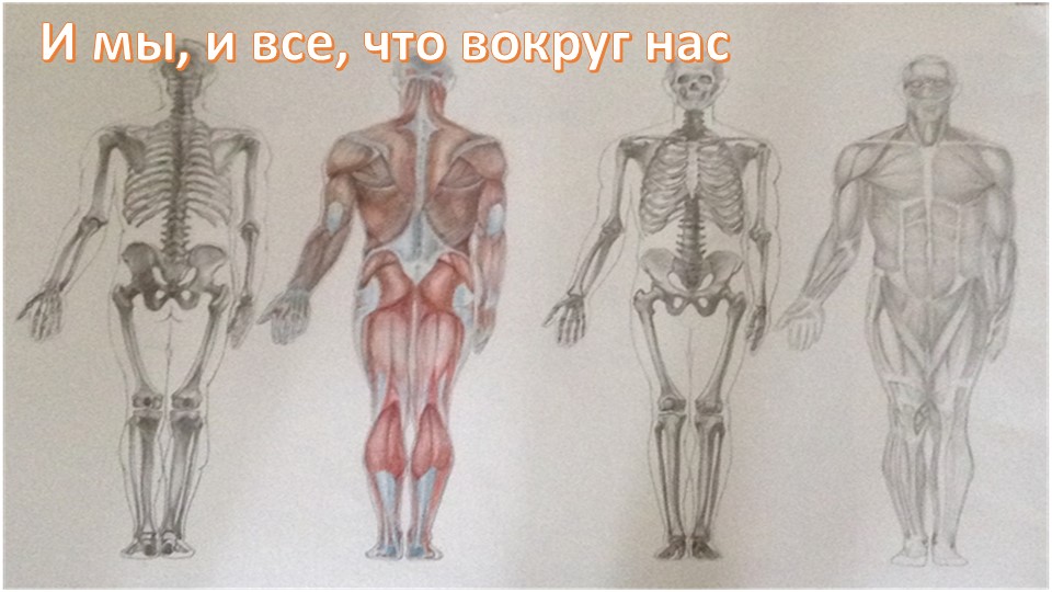 Игра-викторина "И мы, и все, что вокруг нас" Учебники, Презентации и Подготовка к Экзаменам для Школьников на Klass-Uchebnik.com