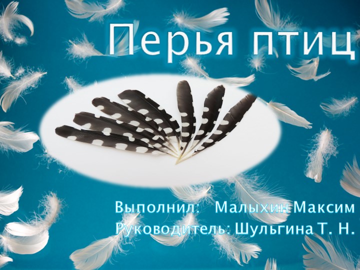 Презентация по обществознанию на тему " Перья". Учебники, Презентации и Подготовка к Экзаменам для Школьников на Klass-Uchebnik.com