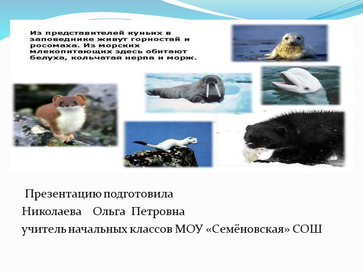 Презентация "Таймырский заповедник" 4 класс Учебники, Презентации и Подготовка к Экзаменам для Школьников на Klass-Uchebnik.com