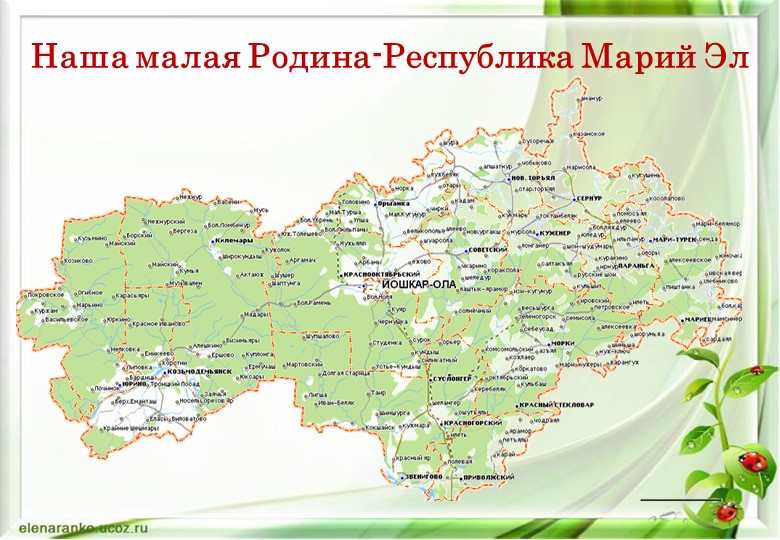 Презентация к уроку биологии в 8 классе. Учебники, Презентации и Подготовка к Экзаменам для Школьников на Klass-Uchebnik.com