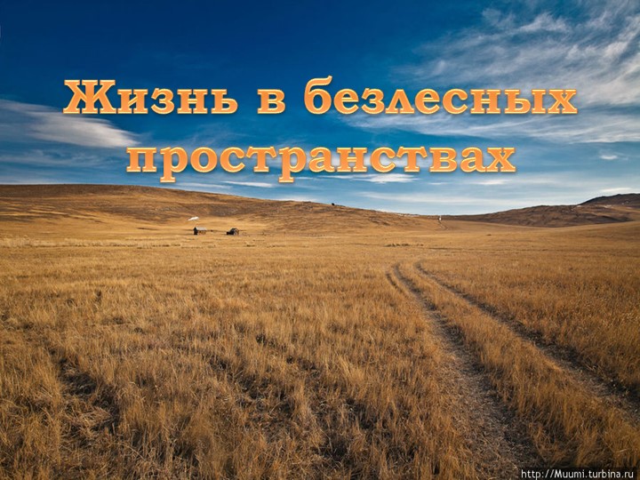 Презентация по географии на тему "Жизнь в безлесных пространствах" (6 класс) Учебники, Презентации и Подготовка к Экзаменам для Школьников на Klass-Uchebnik.com
