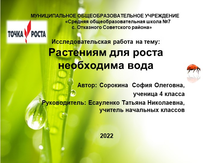 Исследовательская работа на тему: "Растениям для роста необходима вода" Учебники, Презентации и Подготовка к Экзаменам для Школьников на Klass-Uchebnik.com