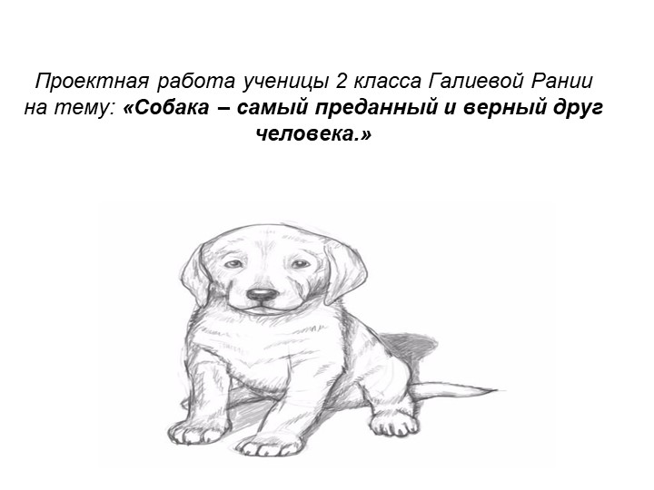 Проектная работа " Моя собака" Учебники, Презентации и Подготовка к Экзаменам для Школьников на Klass-Uchebnik.com