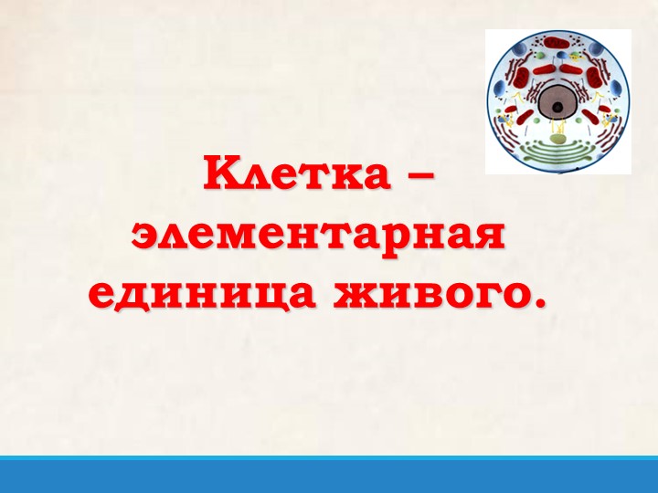 Презентация по биологии на тему:"Клетка-единица всего живого. Плазматическая мембрана" Учебники, Презентации и Подготовка к Экзаменам для Школьников на Klass-Uchebnik.com