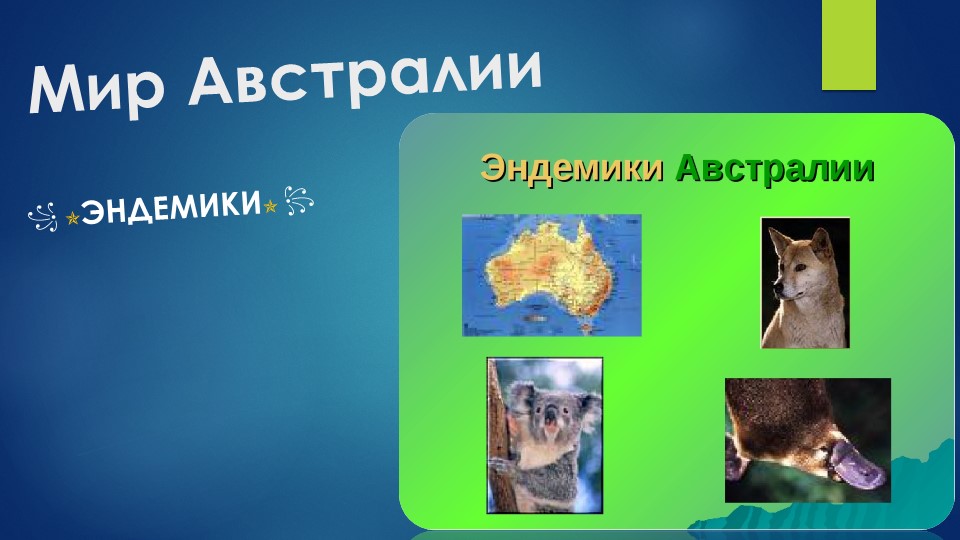 Презентация по географии "Эндемики Австралии" ( 7 класс) Учебники, Презентации и Подготовка к Экзаменам для Школьников на Klass-Uchebnik.com