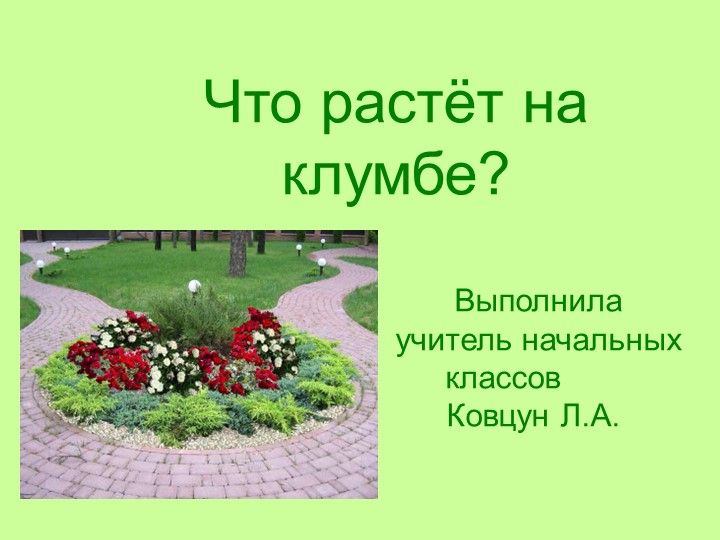 Презентация по окружающему миру на тему: "Что растёт на клумбе?" (1 класс) Учебники, Презентации и Подготовка к Экзаменам для Школьников на Klass-Uchebnik.com