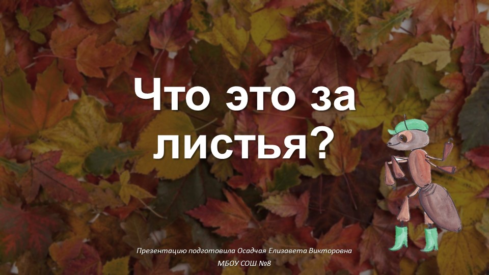 Презентация по окружающему миру на тему "Что это за листья" (1 класс) Учебники, Презентации и Подготовка к Экзаменам для Школьников на Klass-Uchebnik.com