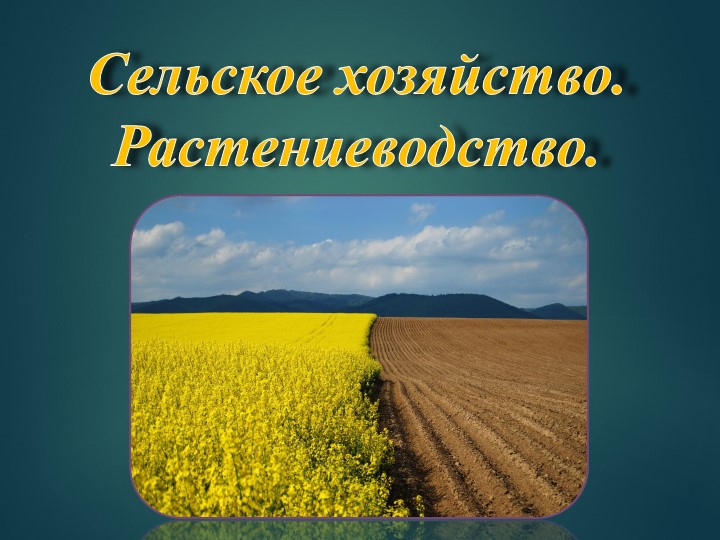 Презентация по географии на тему: "Сельское хозяйство. Растениеводство." Учебники, Презентации и Подготовка к Экзаменам для Школьников на Klass-Uchebnik.com