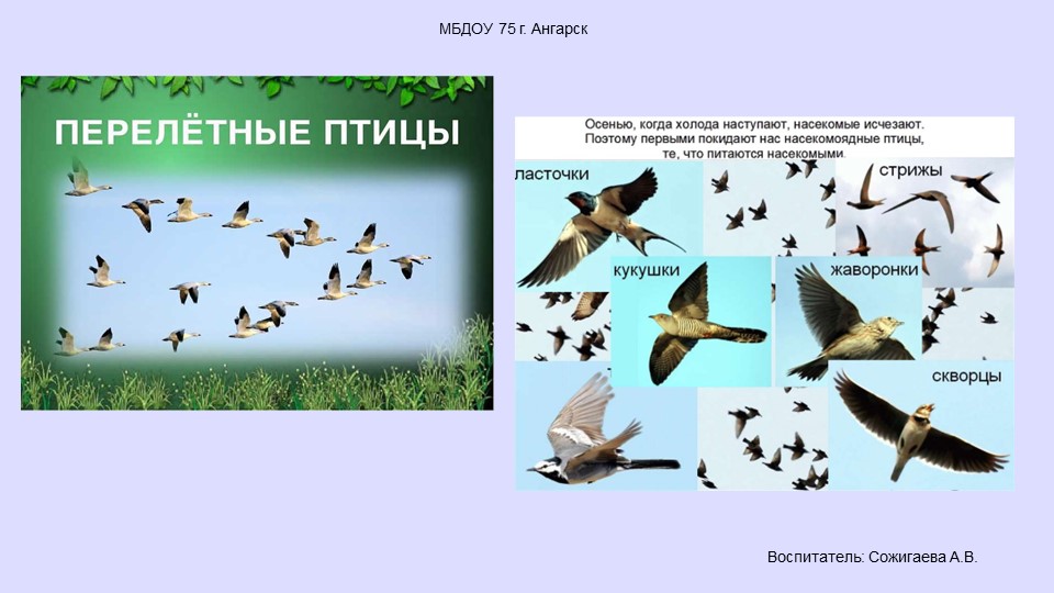 Презентация по окружающему миру "Пернатые друзья, перелетные птицы" Учебники, Презентации и Подготовка к Экзаменам для Школьников на Klass-Uchebnik.com