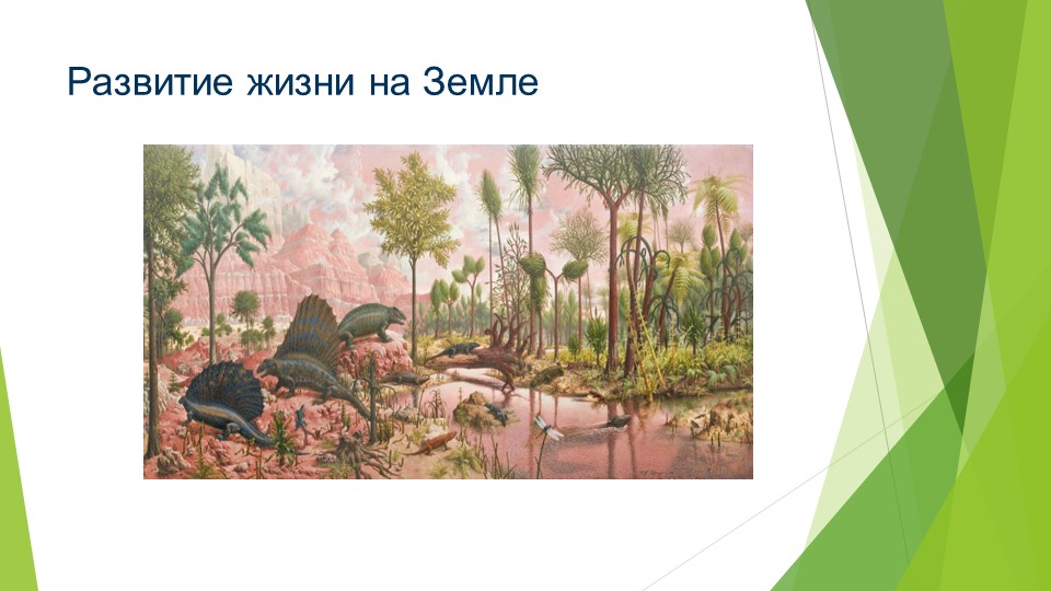 Презентация: "Эволюция жизни на Земле" Учебники, Презентации и Подготовка к Экзаменам для Школьников на Klass-Uchebnik.com