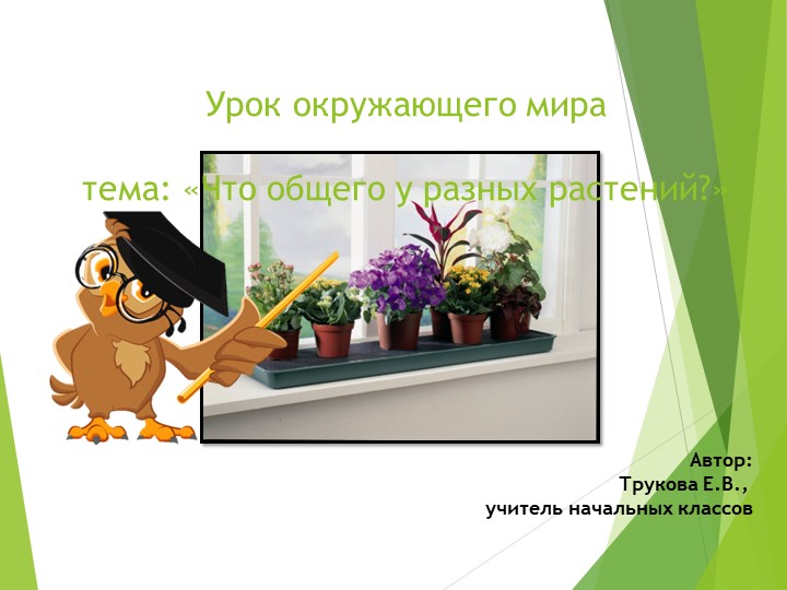 Презентация по окружающему миру:"Что растет на подоконнике?" Учебники, Презентации и Подготовка к Экзаменам для Школьников на Klass-Uchebnik.com