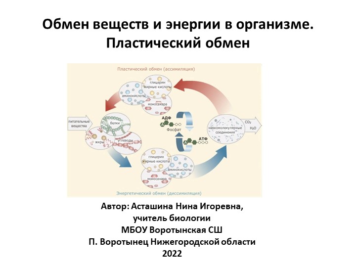 ПРезентация по биологии "Обмен веществ и энергии в организме: пластический обмен: 9 класс Учебники, Презентации и Подготовка к Экзаменам для Школьников на Klass-Uchebnik.com