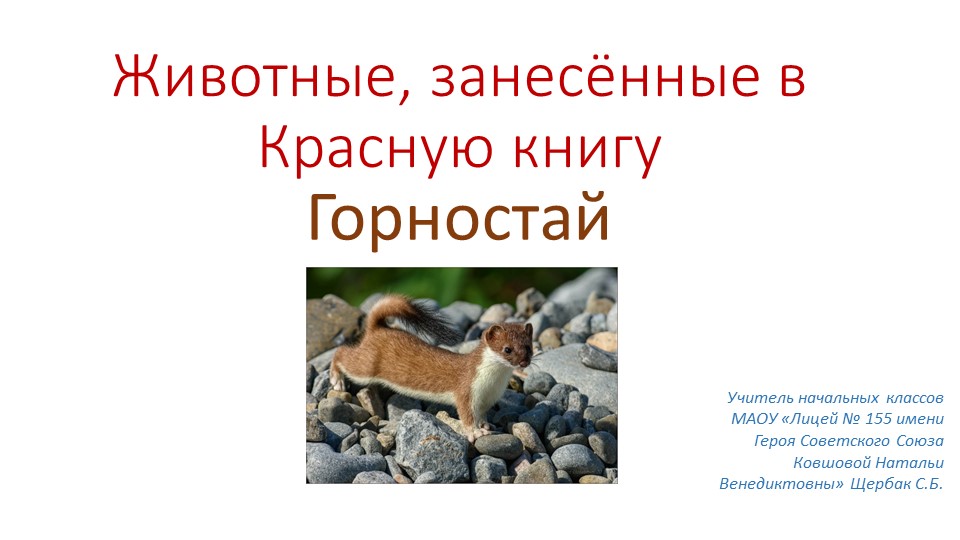 Презентация по окружающему миру на тему " Животные, занесенные в Красную книгу" Учебники, Презентации и Подготовка к Экзаменам для Школьников на Klass-Uchebnik.com