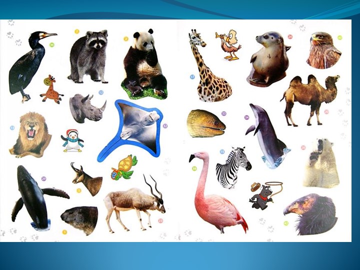 Презентация по английскому языку на тему "Animals 1" 5 класс Учебники, Презентации и Подготовка к Экзаменам для Школьников на Klass-Uchebnik.com