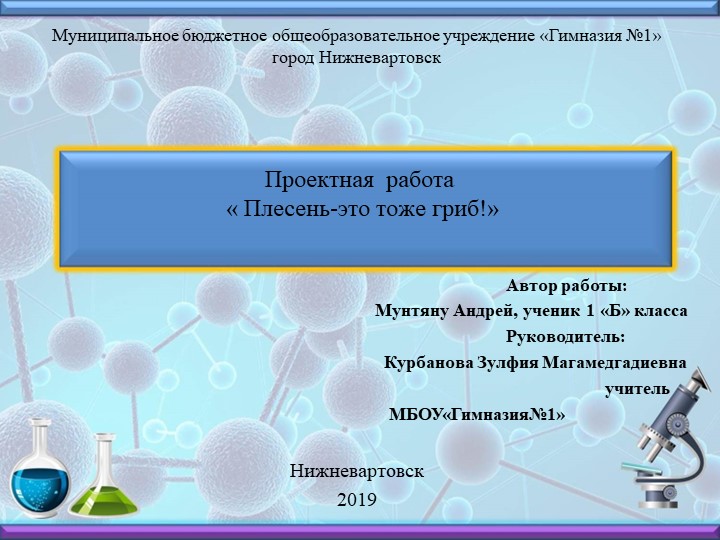 Проект на тему "Плесень-это тоже гриб" Учебники, Презентации и Подготовка к Экзаменам для Школьников на Klass-Uchebnik.com