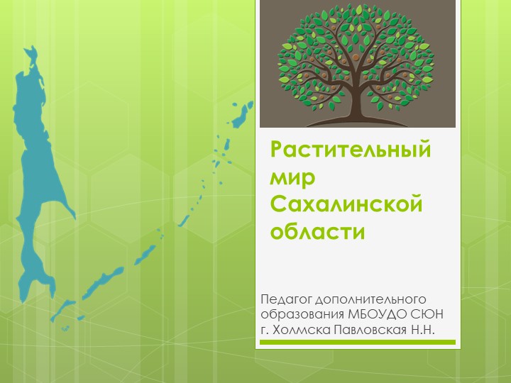 Презентация по краеведению на тему "Растительный мир Сахалинской области" Учебники, Презентации и Подготовка к Экзаменам для Школьников на Klass-Uchebnik.com