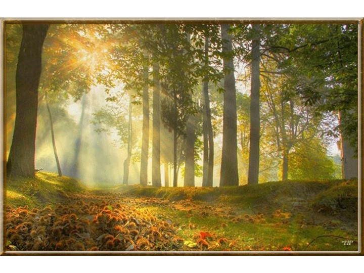 Работа с природным материалом с использованием пластилина. "Ёж." Учебники, Презентации и Подготовка к Экзаменам для Школьников на Klass-Uchebnik.com