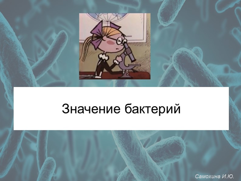 Презентация по биологии на тему "Значение бактерий" (5 класс) Учебники, Презентации и Подготовка к Экзаменам для Школьников на Klass-Uchebnik.com