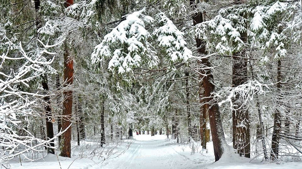 Презентация по окружающему миру на тему "Откуда берётся и куда девается мусор?" (1 урок) Учебники, Презентации и Подготовка к Экзаменам для Школьников на Klass-Uchebnik.com