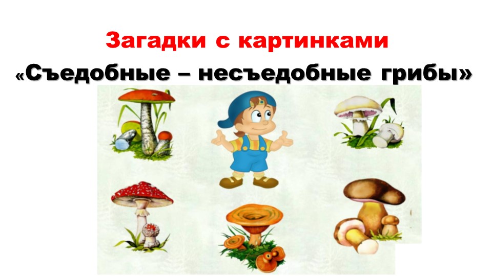 Загадки с картинками "СЪДОБНЫЕ - НЕСЪЕДОБНЫЕ ГРИБЫ" Учебники, Презентации и Подготовка к Экзаменам для Школьников на Klass-Uchebnik.com